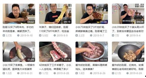 吨叔视频,揭秘生活趣味，畅享知识盛宴