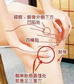 肠胃按摩手法视频,轻松缓解肠胃不适，掌握居家养生秘诀