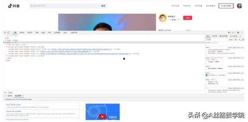 蘑菇视频网页版,轻松畅享海量短视频的云端乐园