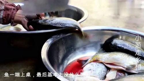 吃鱼视频,跟随吃鱼视频,解锁烹饪鱼的秘诀与技巧