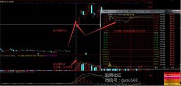 什么是股票视频,揭秘股票市场的奥秘与投资技巧