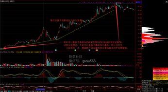 什么是股票视频,揭秘股票市场的奥秘与投资技巧