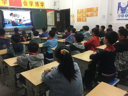 小学生法制教育视频,小学生法制教育视频精华回顾