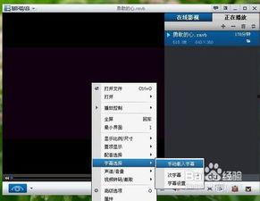 视频里加字幕,精彩内容速览