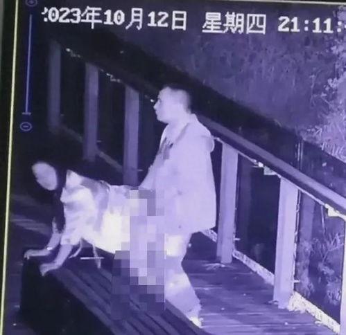 公园男女不雅视频