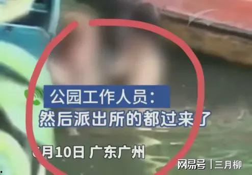 公园男女不雅视频